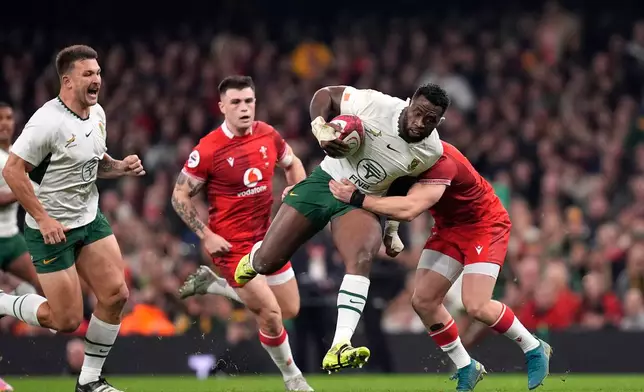 South Africa's Siya Kolisi is tackled by Wales's Blair Murray during the rugby union international match between Wales and South Africa in Cardiff, Wales, Saturday Nov. 29, 2025. (Andrew Matthews/PA via AP)