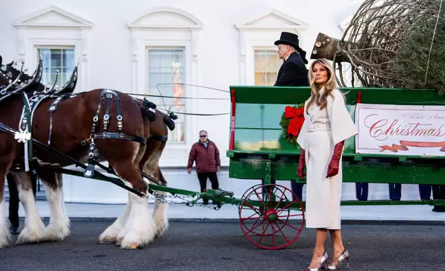 First lady Melania Trump receives the official 2025 White House Christmas Tree, a white fir from Korson's Tree Farms in Michigan, on the North Portico of the White House, Monday, Nov. 24, 2025, in Washington. (AP Photo/Julia Demaree Nikhinson)
