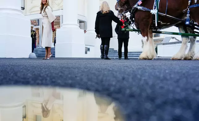 First lady Melania Trump departs after receiving the official 2025 White House Christmas Tree, a white fir from Korson's Tree Farms in Michigan, on the North Portico of the White House, Monday, Nov. 24, 2025, in Washington. (AP Photo/Julia Demaree Nikhinson)