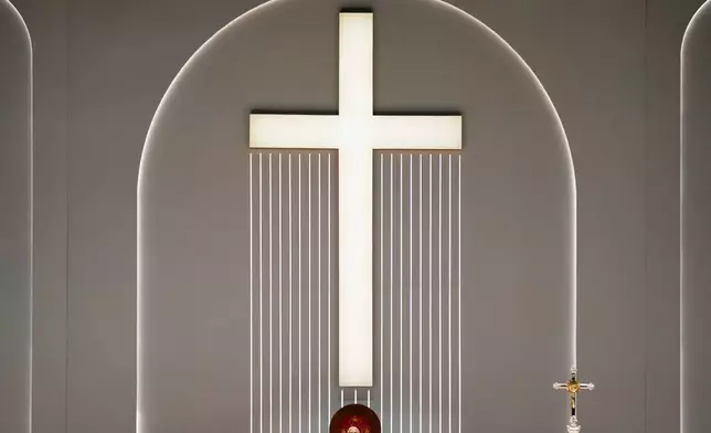 Pope Leo XIV celebrates a Mass at the Volkswagen Arena, in Istanbul, Turkey, Saturday, Nov. 29, 2025. (AP Photo/Khalil Hamra)