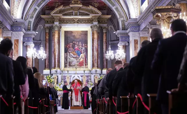 Pope Leo XIV delivers his speech as he meets the clergy at the Cathedral of the Holy Spirit, in Istanbul, Turkey, Friday, Nov. 28, 2025. (AP Photo/Domenico Stinellis)