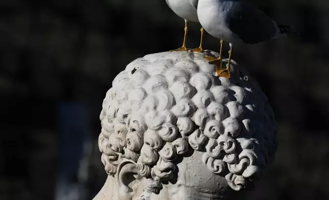 FILE - A pair of seagulls perch on the head of the St. Peter statue in St. Peter's Square at the Vatican, Nov. 23, 2025. (AP Photo/Alessandra Tarantino, File)