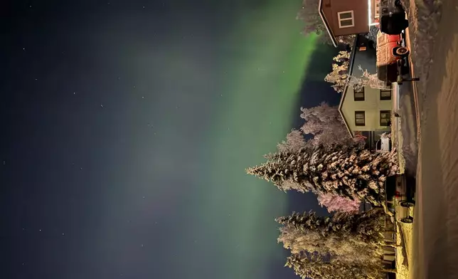 FILE - The northern lights glow behind trees covered in hoarfrost in Anchorage, Alaska, Nov. 25, 2025. (AP Photo/Mark Thiessen, File)