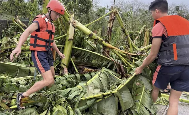 In this photo provided by the Philippine Coast Guard, members of the Philippine Coast Guard clear fallen trees in Virac, Catanduanes as Typhoon Fung-wong affects the country, Sunday, Nov. 9 2025. (Philippine Coast Guard via AP)