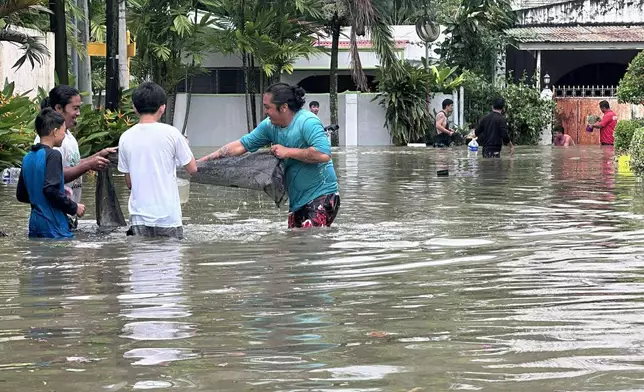 Men use a net as they try to catch fish from a nearby fish farm which overflowed due to floodwaters caused by Typhoon Kalmaegi as it affects Cebu city, central Philippines, Tuesday Nov. 4, 2025. (AP Photo/Jacqueline Hernandez)