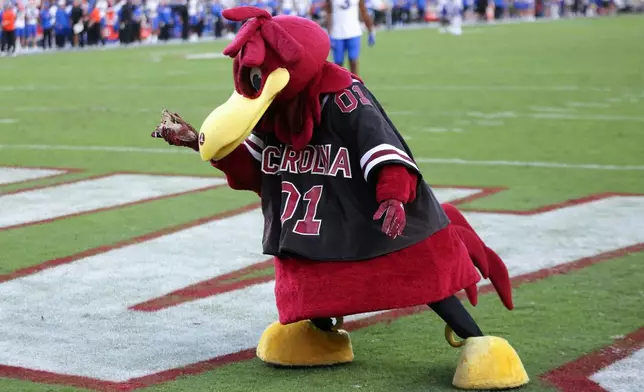 FILE - South Carolina mascot Cocky holds the top of a gator head during the second half of an NCAA college football game against Florida, Oct. 14, 2023, in Columbia, S.C. (AP Photo/Artie Walker Jr., File)
