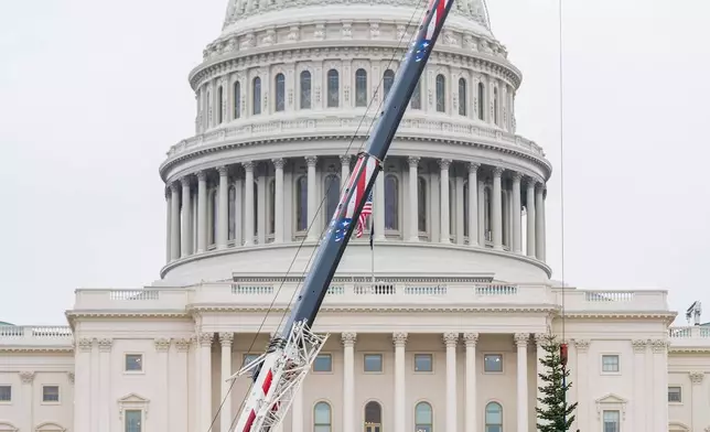 The Capitol Christmas Tree, a 53-foot red fir, arrives to the U.S. Capitol from the Humboldt-Toiyabe National Forest in Nevada, Friday, Nov. 21, 2025, in Washington. (AP Photo/Julia Demaree Nikhinson)