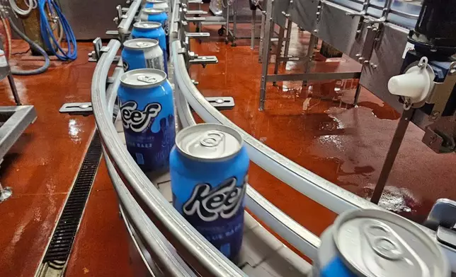 Cans of seltzer containing THC, the active ingredient in marijuana, speed down the canning line at Indeed Brewing in Minneapolis on Thursday, Nov. 20, 2025. (AP Photo/Steve Karnowski)