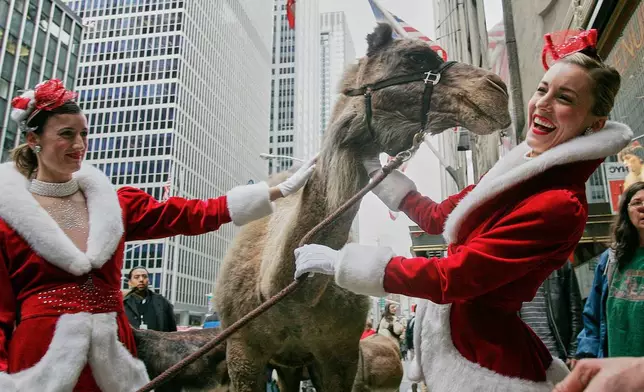 FILE - Rockettes laugh as they hold Azzuri, the camel that along with other animals arrive for the first day of rehearsals for the Radio City Music Hall Christmas Spectacular, Nov. 7, 2006, in New York. (AP Photo/Dima Gavrysh, File)