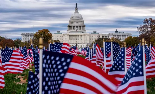 Miniature American flags flutter in wind gusts across the National Mall near the Capitol in Washington, Monday, Nov. 10, 2025. (AP Photo/J. Scott Applewhite)
