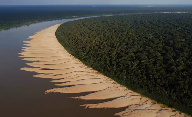 A rievr snakes through the Abufari Biological Reserve, in Tapaua, Amazonas state, Brazil, Monday, Nov. 17, 2025. (AP Photo/Edmar Barros)