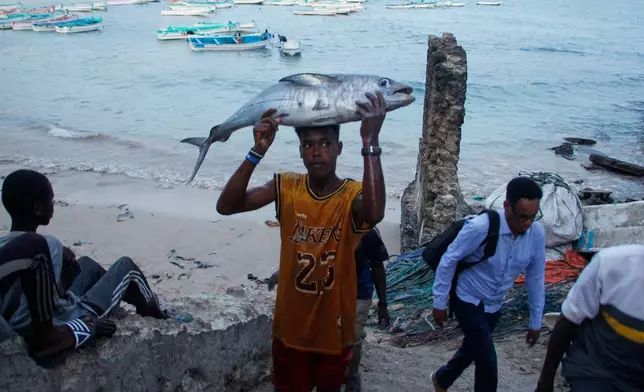 A fisherman carries a tuna fish to the market in Mogadishu, Somalia Thursday, Nov. 6, 2025. (AP Photo/Farah Abdi Warsameh)