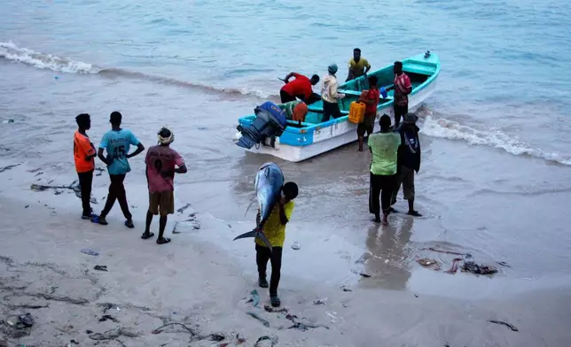 A fisherman carries a tuna fish to the market in Mogadishu, Somalia Thursday, Nov. 6, 2025. (AP Photo/Farah Abdi Warsameh)