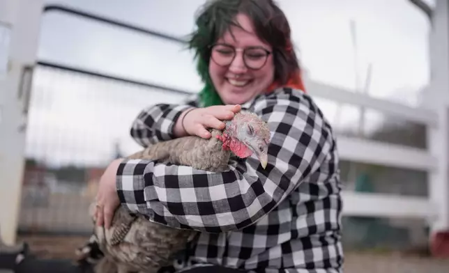 Jordan Gullotta pets a turkey during a cuddle therapy session at The Gentle Barn, Tuesday, Nov. 25, 2025, in Christiana, Tenn. (AP Photo/George Walker IV)