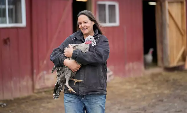 Ellie Laks carries a turkey at The Gentle Barn, Tuesday, Nov. 25, 2025, in Christiana, Tenn. (AP Photo/George Walker IV)