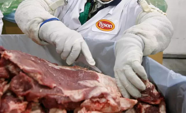 Laurie Nierman trims sample strips that will be tested for E. coli from batches of the plant's trimmings at the Tyson meat packing plant in Lexington, Neb., Wednesday, Nov. 14, 2007. (Kent Sievers/Omaha World-Herald via AP)