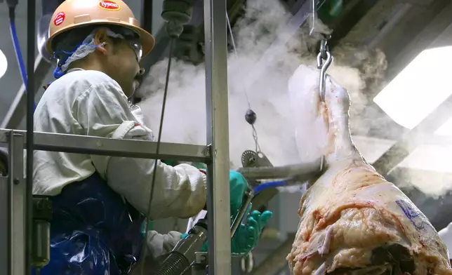 A worker on the line uses a steam vacuum on any incision areas on the carcass during a tour of the Tyson meat packing plant in Lexington, Neb., Wednesday, Nov. 14, 2007. (Kent Sievers/Omaha World-Herald via AP)