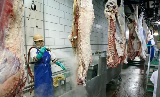 Vanessa Rodriguez washes the necks of the carcasses with 180 degree water before they go into thermal heat treatment during a tour of the Tyson meat packing plant in Lexington, Neb., Wednesday, Nov. 14, 2007. (Kent Sievers/Omaha World-Herald via AP)