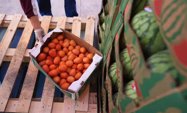 A volunteer reaches for a box of tomatoes during a food distribution at the San Antonio Food Ban for SNAP recipients and other households affected by the federal shutdown, Thursday, Nov. 6, 2025, in San Antonio. (AP Photo/Eric Gay)