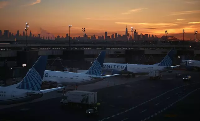 Planes are seen at Newark Liberty International Airport on Friday, Nov. 7, 2025, in Newark, N.J. (AP Photo/Andres Kudacki)