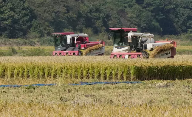 Farmers use combine harvesters at a rice paddy of farmer Hwang Seong-yeol in Seosan, South Korea, Monday, Oct. 20, 2025. (AP Photo/Ahn Young-joon)