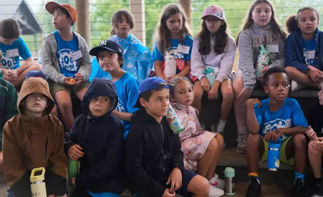 Visitors to the Turtle Back Zoo watch through a large picture window as a white-cheeked gibbon undergoes a wellness checkup in West Orange, N.J., Wednesday, Aug. 20, 2025. (AP Photo/Seth Wenig)
