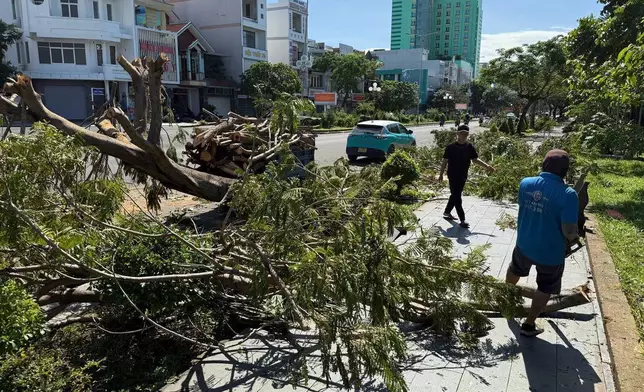 Fallen trees on a sidewalk in Dak Lak, Vietnam on Friday, Nov. 7, 2025 after Typhoon Kalmaegi lashed Vietnam with fierce winds and torrential rains. (AP Photo/Hau Dinh)