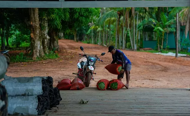 A man places sacks with acai at the port tarmac in Itacoa Miri, Brazil, Tuesday, Nov. 18, 2025. (AP Photo/Fernando Llano)