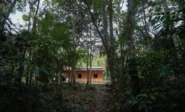 A house is visible in the jungle at a quilombola, an Afro-descendant community called Menino Jesus in Acara, Brazil, Tuesday, Nov. 18, 2025. (AP Photo/Fernando Llano)