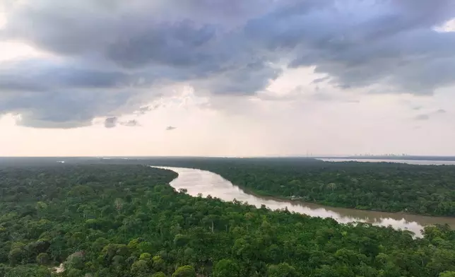 Trees surround the Guama River in Itacoa Miri, Brazil, Tuesday, Nov. 18, 2025. (AP Photo/Fernando Llano)