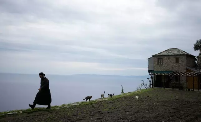 Father Paisios is followed by cats as he walks at the Simonopetra, or Simonos Petra Monastery, home of the all-male autonomous community of Agion Oros, or Holy Mountain, on the peninsula of Mount Athos, in northern Greece, April 14, 2025. (AP Photo/Thanassis Stavrakis, File)