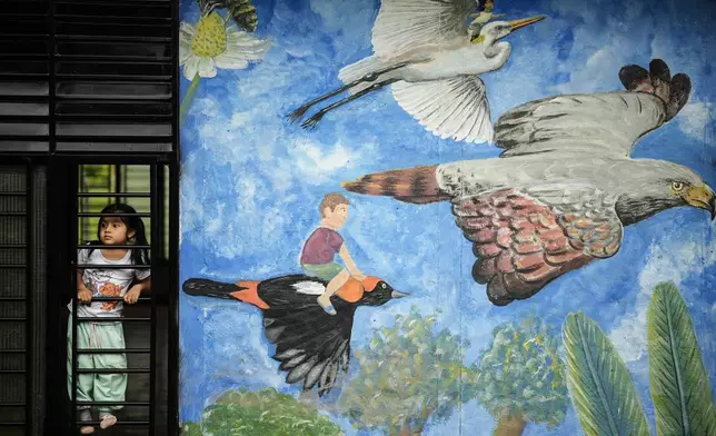 A girl looks out the window at the Amazon Pearl community farming project on the outskirts of Puerto Asis, Colombia, Wednesday, Nov. 26, 2025. (AP Photo/Ivan Valencia)