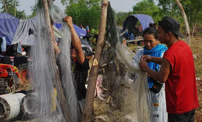 People take off fish from net for their meal as they take refuge in Srey Snam, Siem Reap province, Cambodia Wednesday, Dec. 10, 2025, after fleeing from home following a fighting between Thailand and Cambodia over territorial claims. (AP Photo/Heng Sinith)