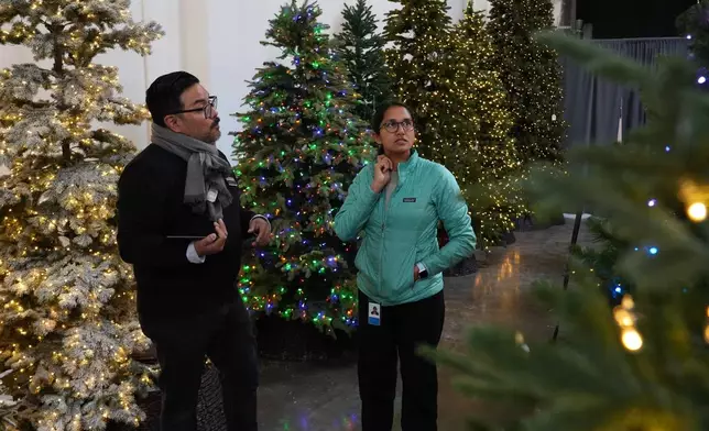 Anjali Bisaria shops for an artificial Christmas tree at the Balsam Hill outlet store in Burlingame, Calif. on Dec. 10, 2025. (AP Photo/Terry Chea)