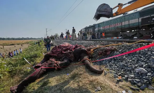 A carcass of an Asiatic wild elephant being removed from a railway track after a speeding train hit a heard of wild elephant in the early morning in Changjurai village east of Guwahati, India, Saturday, Dec. 20, 2025. (AP Photo/Anupam Nath)