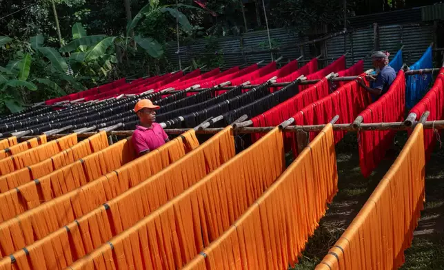 A worker arranges dyed threads used in the making of Tangail saris at a workshop in Tangail District, Bangladesh, Nov. 5, 2025. (AP Photo/Mahmud Hossain Opu)