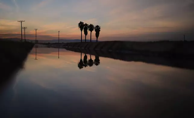 Water sits in a canal alongside irrigated fields Friday, Dec. 12, 2025, near El Centro, Calif. (AP Photo/Gregory Bull)
