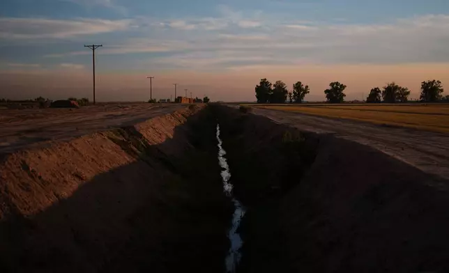 Water sits in a ditch Friday, Dec. 12, 2025, in El Centro, Calif. (AP Photo/Gregory Bull)