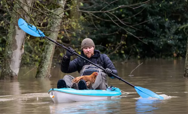 Eric Gustin paddles to dry land after rescuing one of several chickens from a flooded coop, Friday, Dec. 12, 2025, in Burlington, Wash. (AP Photo/Stephen Brashear)