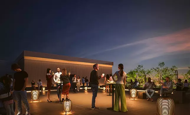 Illustrative image of the rooftop