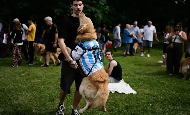 A man plays with his dog at a Palermo neighborhood park as people try to set a world record of most Golden Retrievers gathered in a park, in Buenos Aires, Argentina, Monday, Dec. 8, 2025. (AP Photo/Natacha Pisarenko)