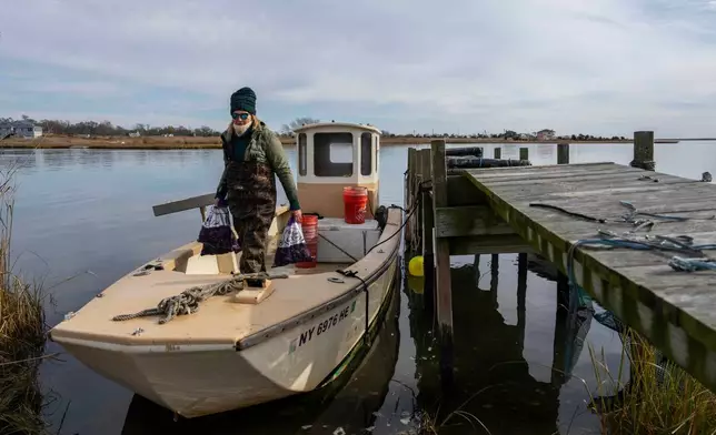 Retired WNBA star and Hall of Famer Sue Wicks carries bags of oysters off her boat in Moriches Bay in New York, Thursday, Nov. 20, 2025. (AP Photo/Yuki Iwamura)