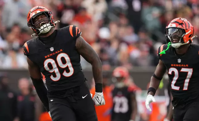 Cincinnati Bengals defensive end Myles Murphy (99) reacts after sacking Arizona Cardinals quarterback Jacoby Brissett, not pictured during the second half of an NFL football game Sunday, Dec. 28, 2025, in Cincinnati. (AP Photo/Jeff Dean)