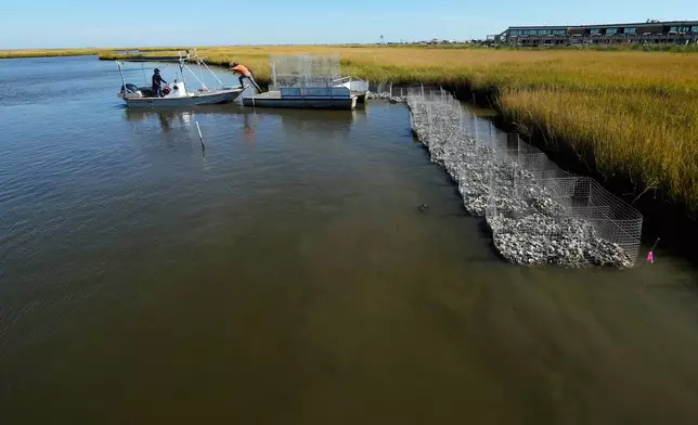 Volunteers maneuver a small barge during a reef barrier project organized by the Coalition To Restore Coastal Louisiana in Cocodrie, La., Friday, Oct. 24, 2025. (AP Photo/Gerald Herbert)
