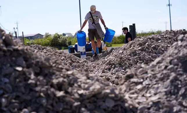 Volunteers fill buckets from piles of oyster shells during a reef barrier project organized by the Coalition To Restore Coastal Louisiana in Cocodrie, La., Friday, Oct. 24, 2025. (AP Photo/Gerald Herbert)