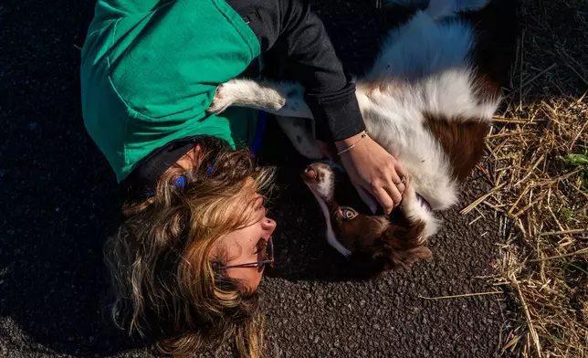 Seuk’s Army volunteer Katelynn Aldarondo cuddles with a dog brought from an overwhelmed Southern animal shelter to be flown to a foster and rescue group farther north, as they lie on the pavement between connecting flights at Culpeper Regional Airport in Brandy Station, Va., Nov. 23, 2025. (AP Photo/Allison Robbert)