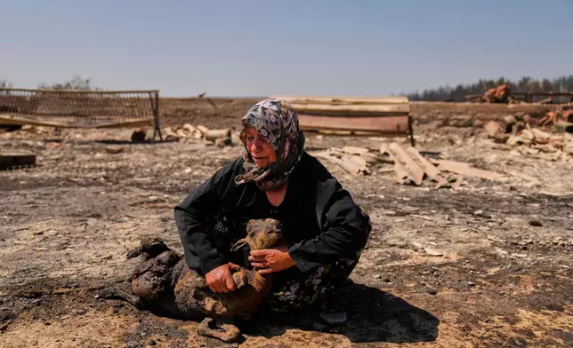 Local farmer Turkan Ozkan, 64, cries next to one of her animals killed during a fire Aug. 12, 2025, in Guzelyeli, Turkey. (AP Photo/Khalil Hamra, File)