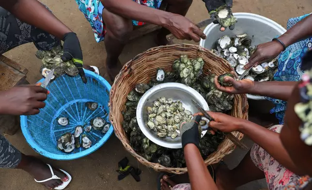 Women open freshly cooked oysters Aug. 6, 2025, in Tsokomey, Ghana. (AP Photo/Misper Apawu, File)