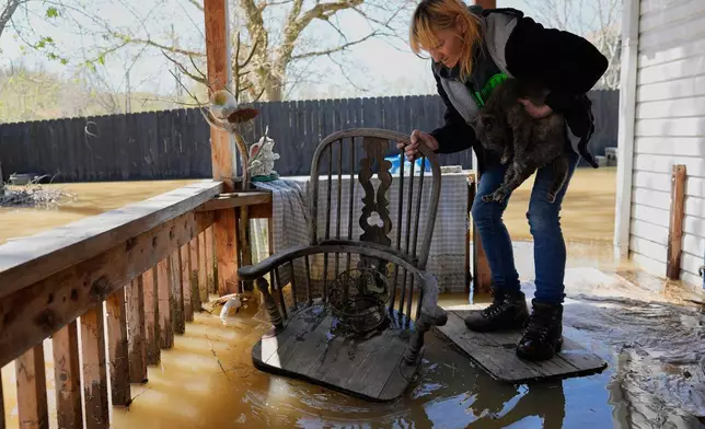 Wanona Harp rescues a cat stranded on her neighbor's porch flooded by the Kentucky River, April 8, 2025, in Lockport, Ky. (AP Photo/Carolyn Kaster, File)