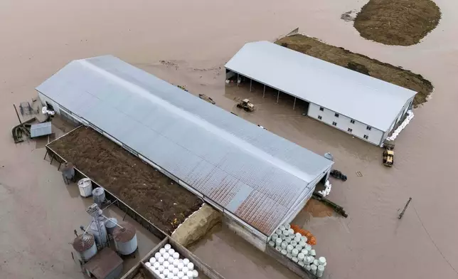 Floodwaters surround barns in Abbotsford, British Columbia, on Thursday, Dec. 11, 2025. (Ethan Cairns/The Canadian Press via AP)